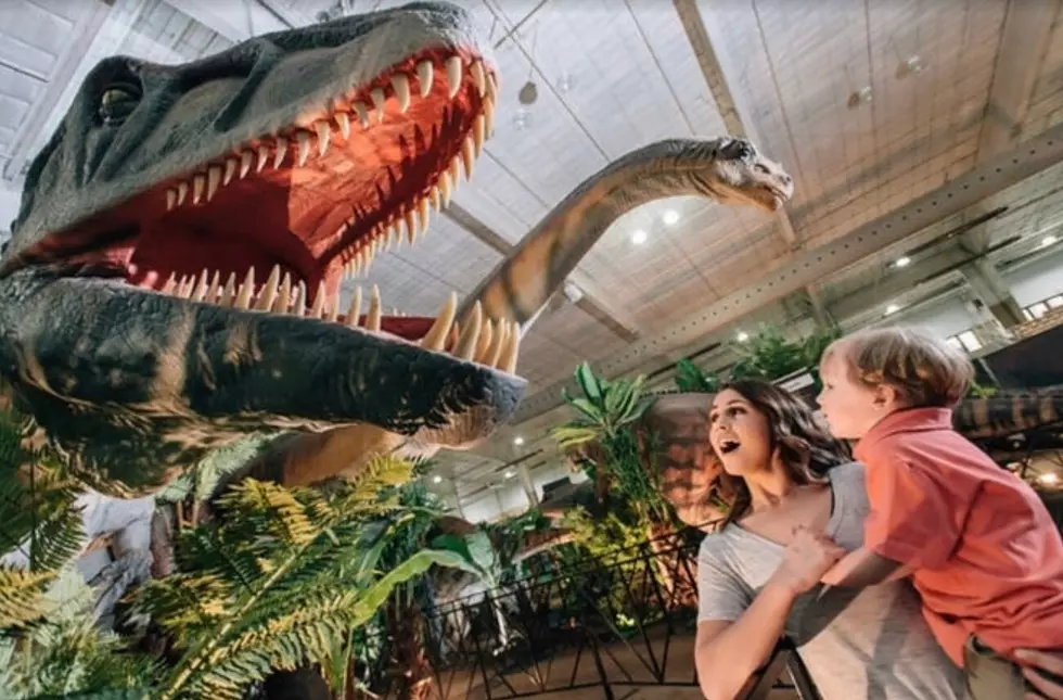 Lifelike Dinosaur Experience to Raise Roof in Atlantic City