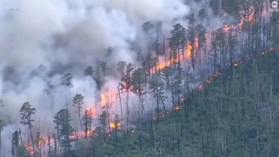 12,000 Acres Burned, Progress Made in Wharton Forest Wildfire
