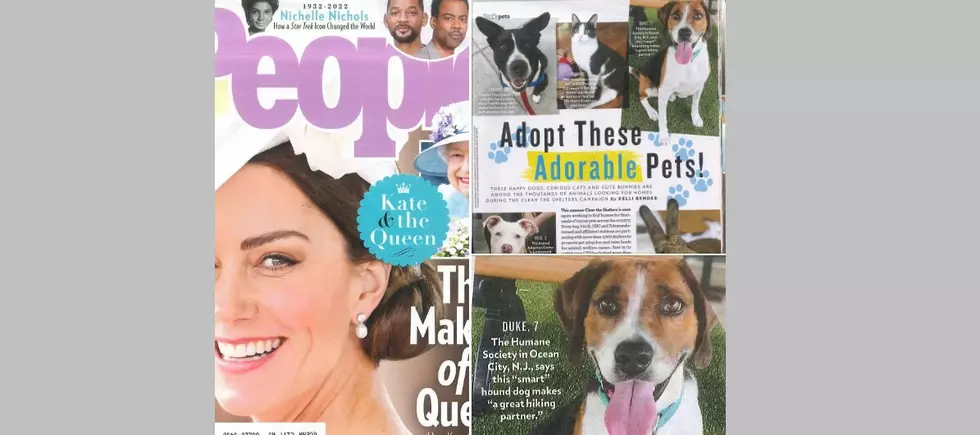 Humane Society of Ocean City Dog Featured in ‘People’