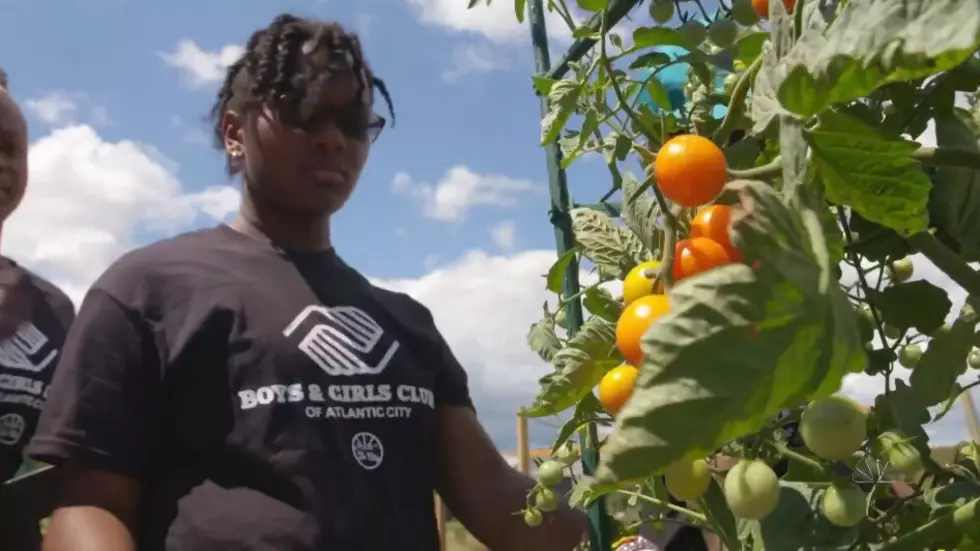 EHT’s Reed’s Organic Farm Featured on NBC Nightly News