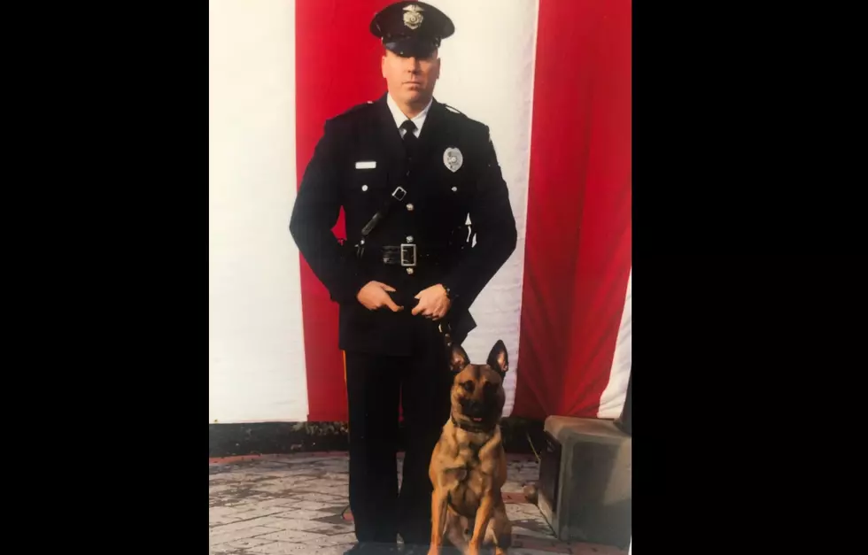 Hip Trouble Forces Egg Harbor Twp Police K-9 Jax into Retirement
