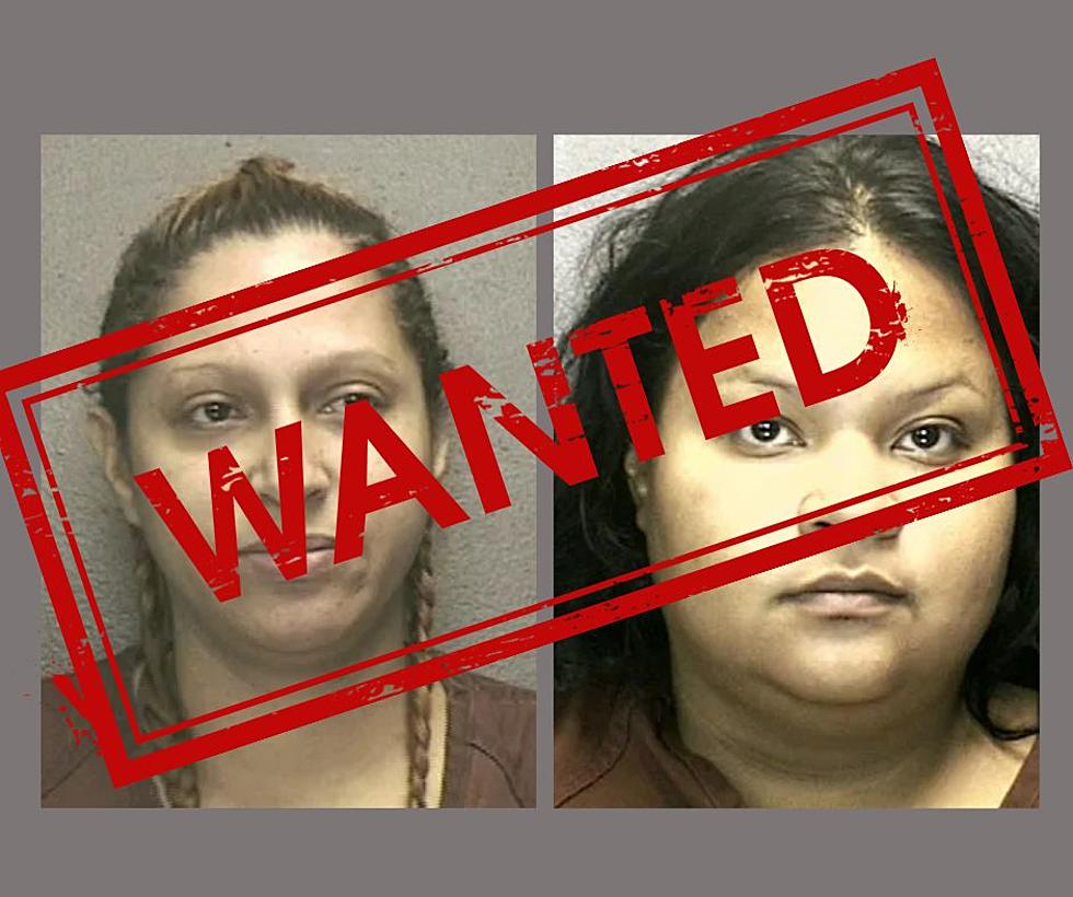Most Wanted Women of the Jersey Shore