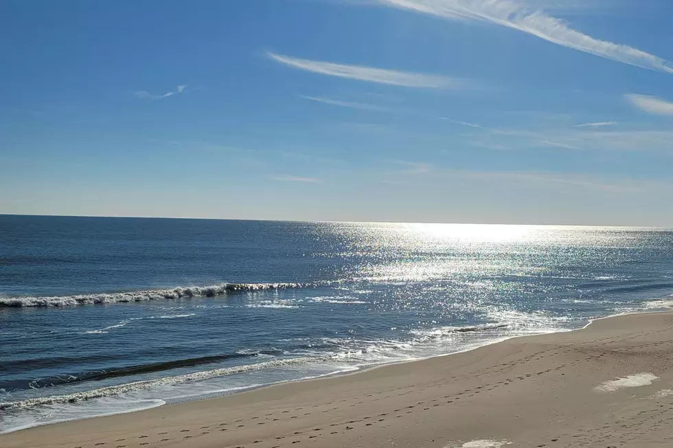 Did You Know You Could Adopt a Beach in NJ?