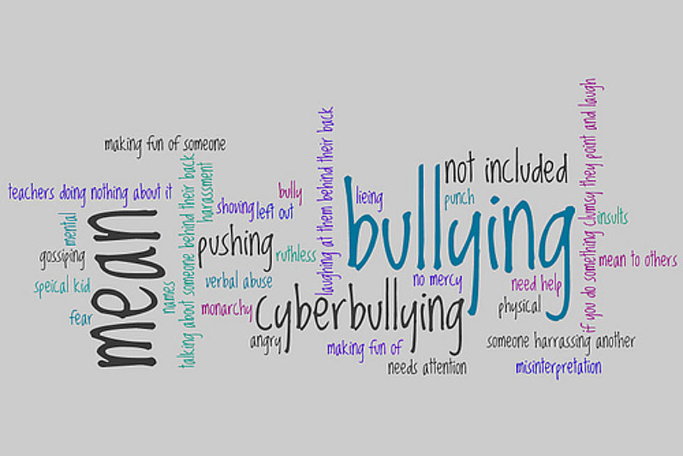 Should There Be a Law Against Bullying at Work? [POLL]