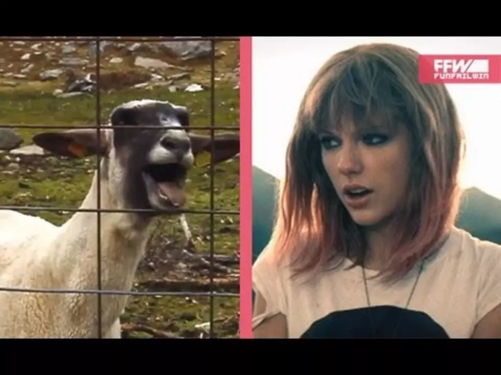 Watch the Goat Remix of Taylor Swift’s I Knew You Were Trouble [VIDEO]