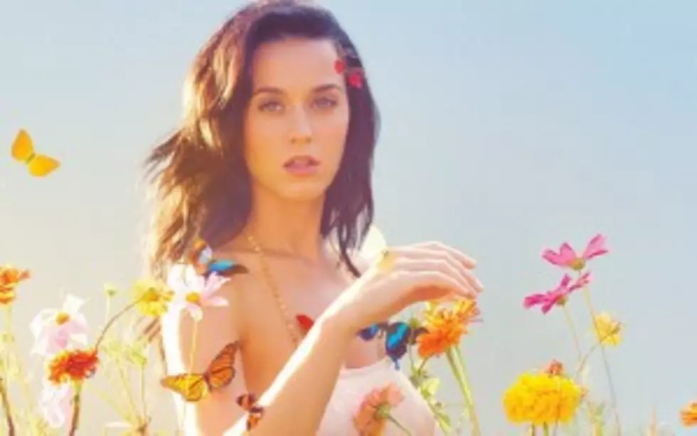 Katy Perry Announces Area Concert Date [VIDEO]