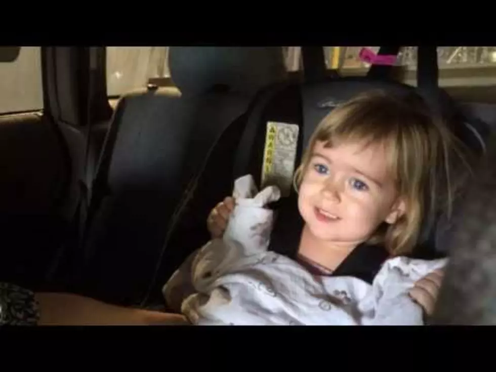 Watch Toddler Go Through a Car Wash for the First Time [VIDEO]