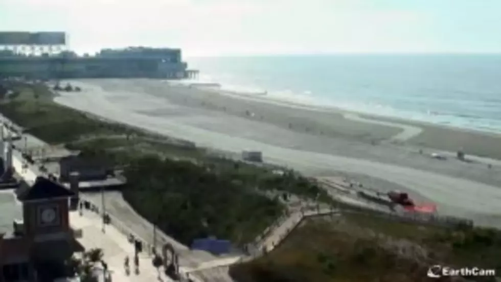 Walk With Tom Morgan in the Atlantic City Board ‘Walk’ For Recovery