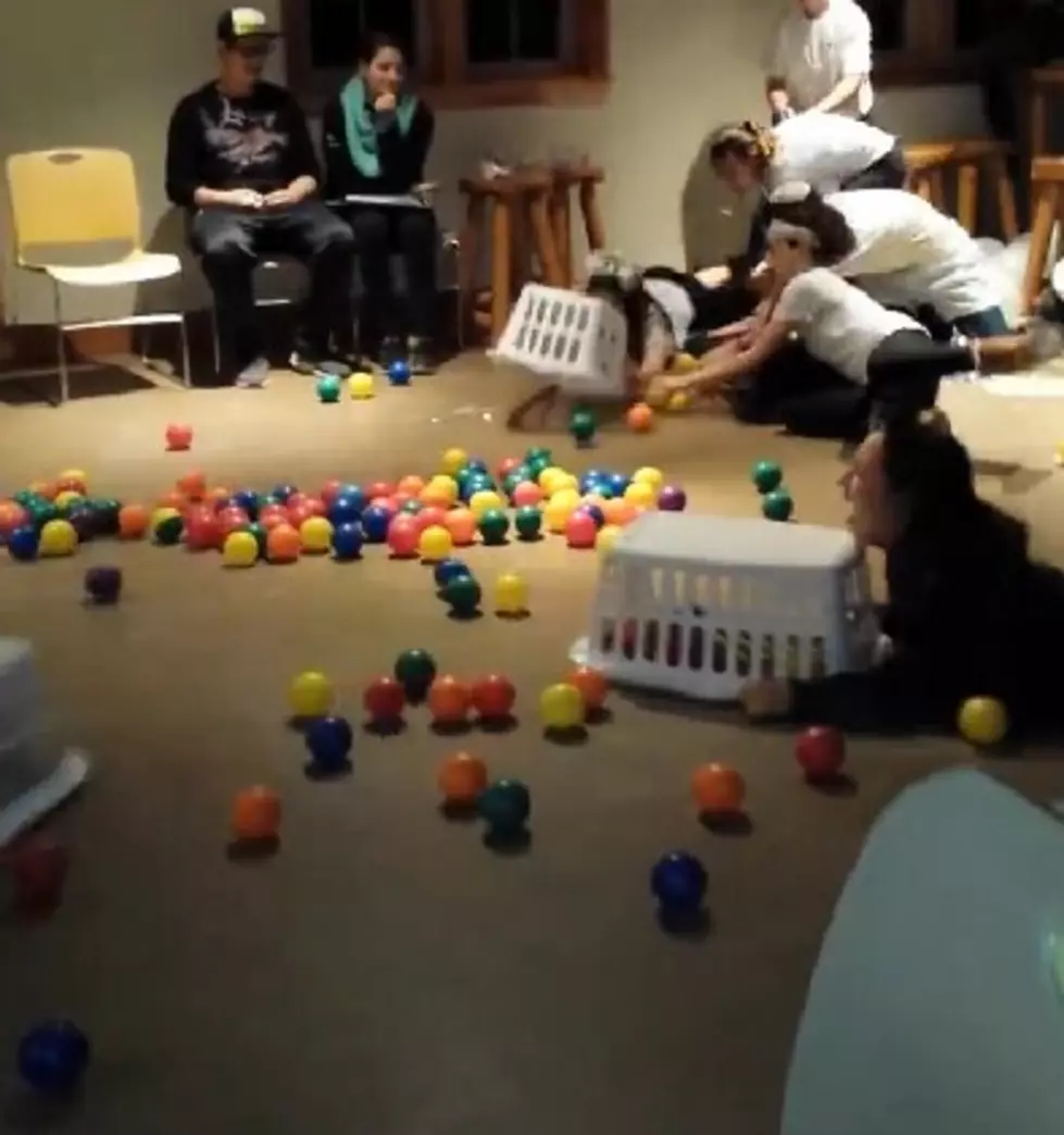 Daily Distraction: Watch the Human Hungry, Hungry Hippos Game [VIDEO]