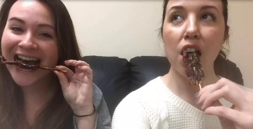 Chocolate Covered Bacon Taste Test [VIDEO]