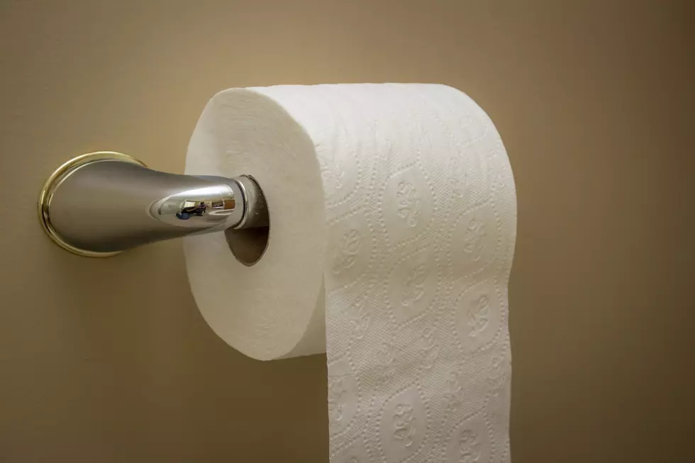 NJ Woman Finds Snake in Toilet Paper