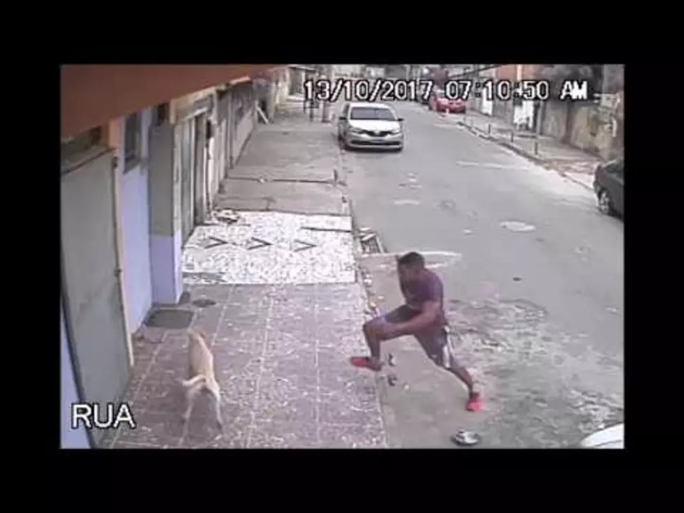 Dog Mistakes Man for Fire Hydrant &#8211; Hilarious!