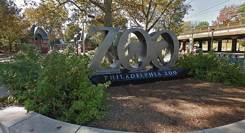Philly Zoo Says No Ostrich Stolen