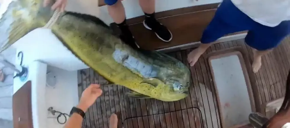 Ocean City Teen Catches Record Breaking 66 Pound Fish