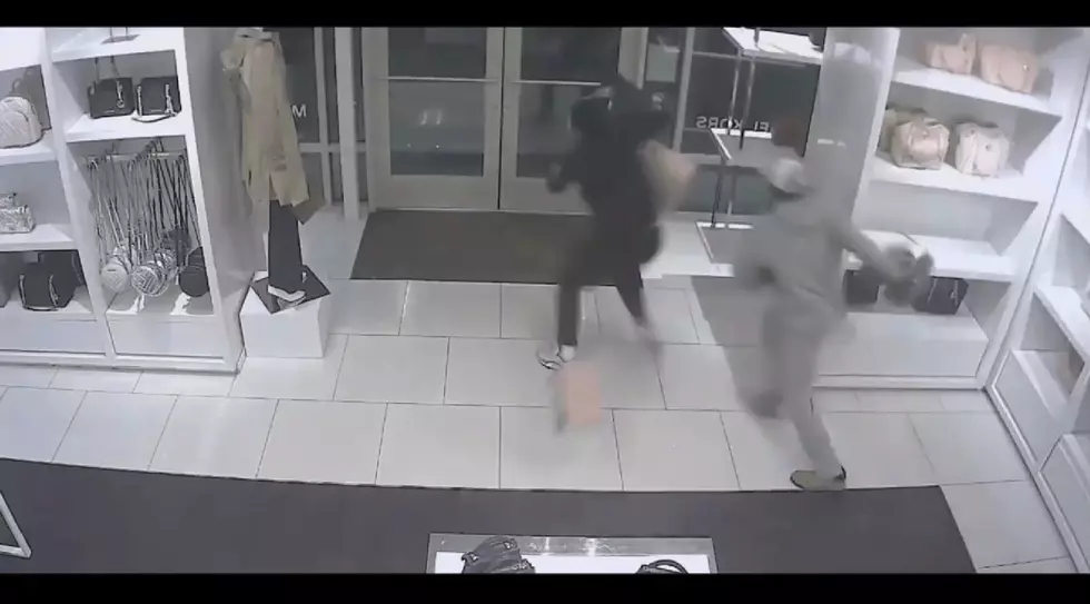 $5K Worth of Michael Kors Handbags Stolen from Gloucester Township Outlets [VIDEO]