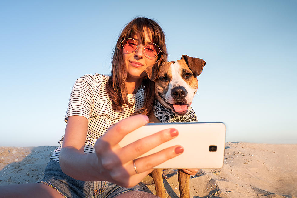 People Take More Photos of Their Dogs Than Significant Others