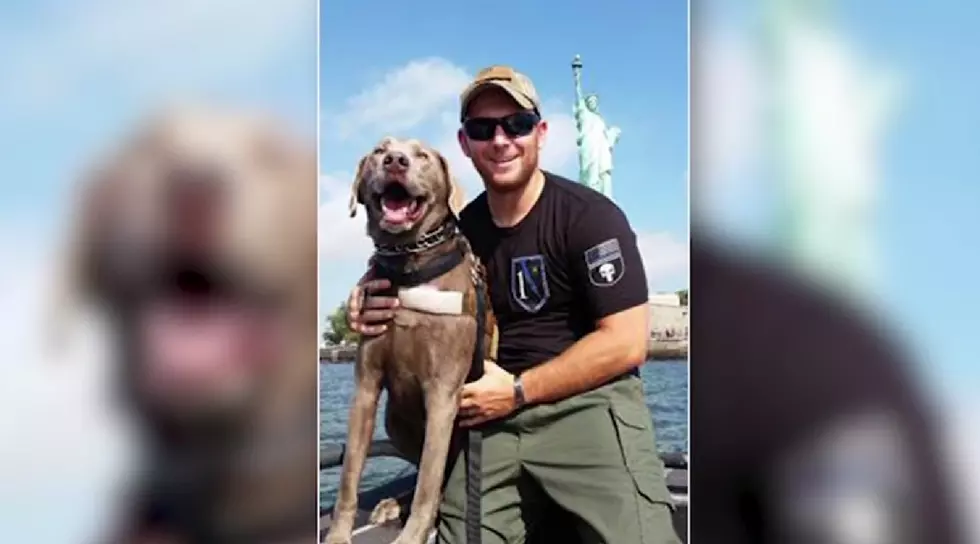 New Jersey Veteran Credits Service Dog for Saving His Life After He Contemplated Suicide