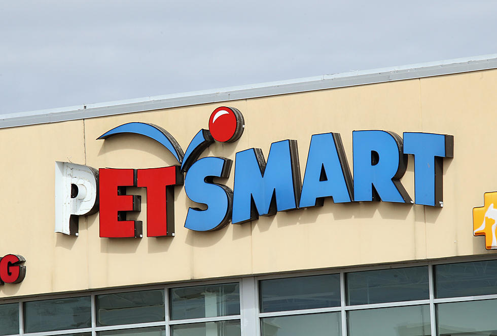 4 PetSmart Employees Charged in Death of Dog