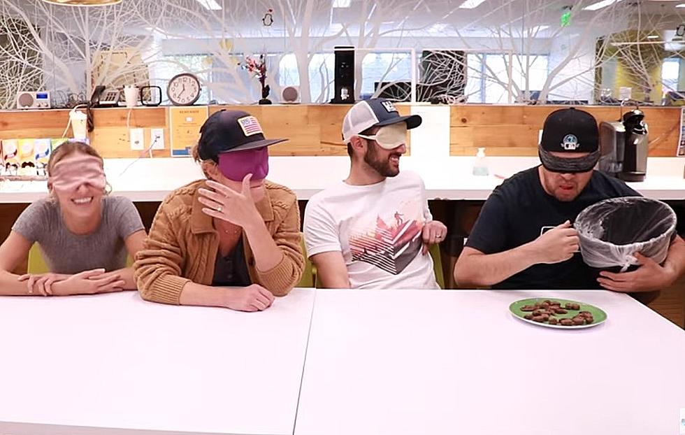 Buggin’ Out! Watch Brooke and Jeffrey’s Blind Chocolate Cicada Challenge [VIDEO]