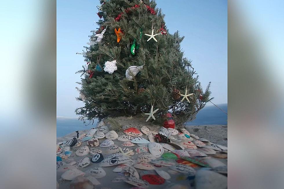 Make a Beachy Holiday Memory with a Visit to This Ocean City NJ Community Christmas Tree