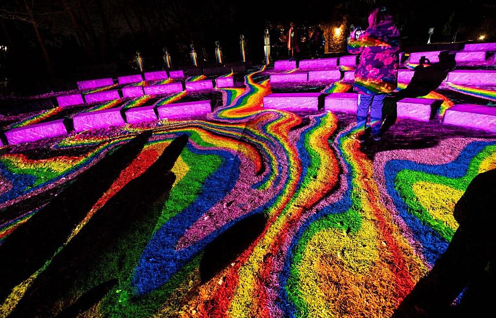 NJ’s New Grounds for Sculpture Nighttime Exhibit Will Amaze Your Eyes and Ears