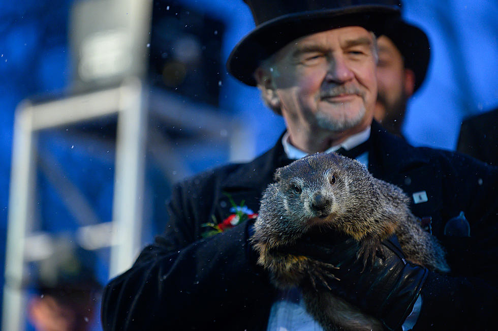What if Groundhog Day Took Place in South Jersey?