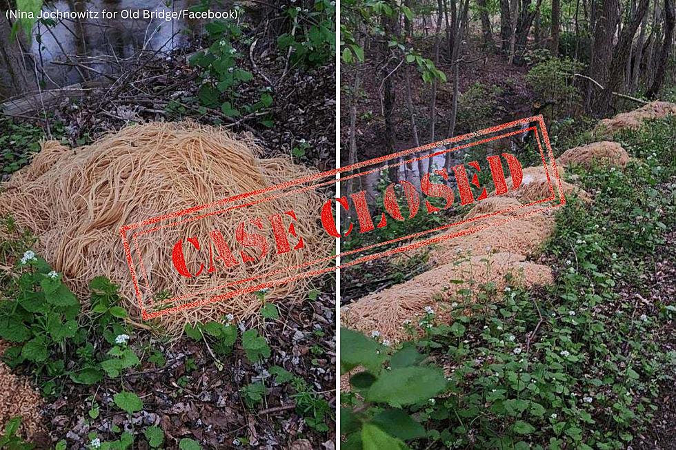 New Jersey’s Pasta Mystery Has Been Solved, Dumper Identified