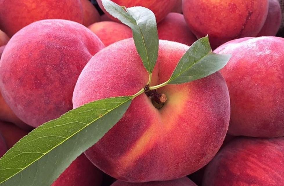 How to Get Free Jersey Fresh Peaches in Atlantic City, Wildwood NJ