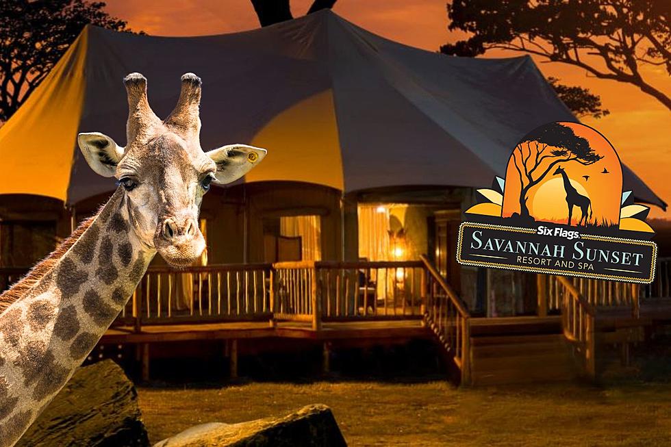 You Can Now Officially Go Glamping at Six Flags Great Adventure in Jackson, NJ