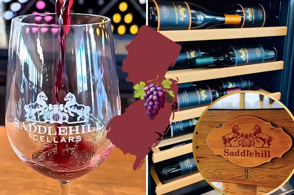 New Winery Saddlehill Officially Debuts in Voorhees, NJ, Tasting Reservations Open