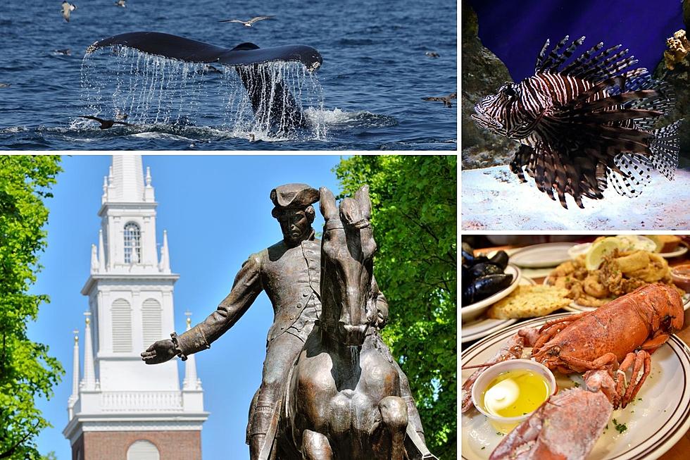 Our 5 Favorite Reasons to Book a Boston Getaway This Summer