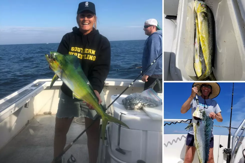 South Jersey Fishing: Mahi Mania
