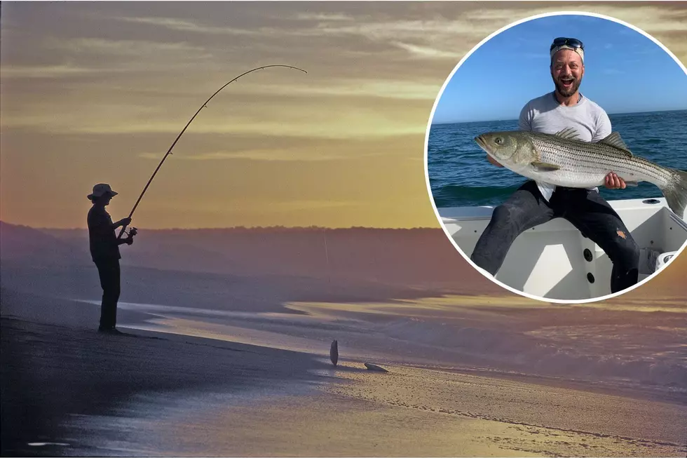 South Jersey Fishing: Striper Fishing Hot and Hotter