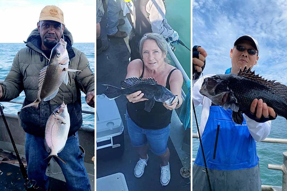 South Jersey Fishing: Fluke, Sea Bass and Porgy Regs Set for ‘23