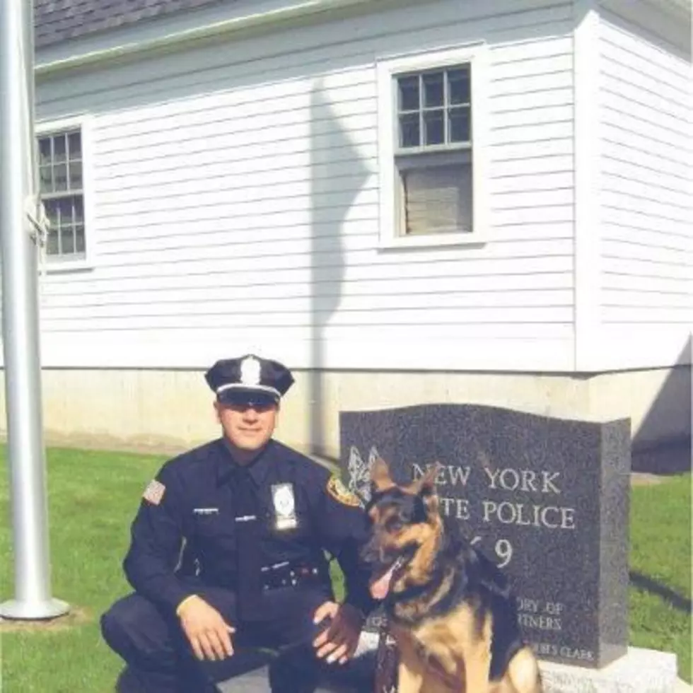 Utica Police Mourn Loss of Officer ‘Rock’ – K9 Police Dog Dies