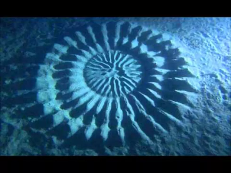 Japan&#8217;s &#8216;Mystery Circle&#8217; an Underwater &#8216;Crop Circle&#8217; [VIDEO]