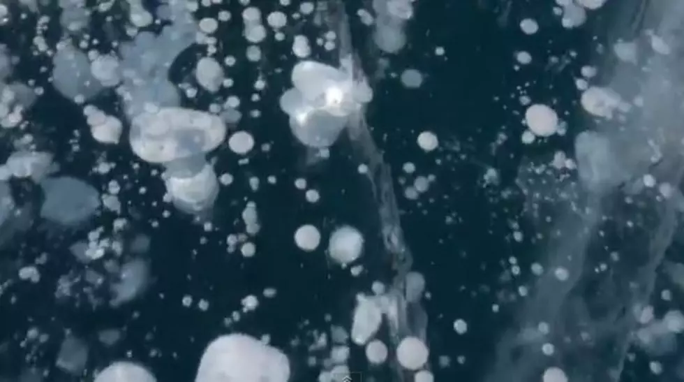 How Do Frozen Air Bubbles Get Trapped in Abraham Lake in Canada? [VIDEO]
