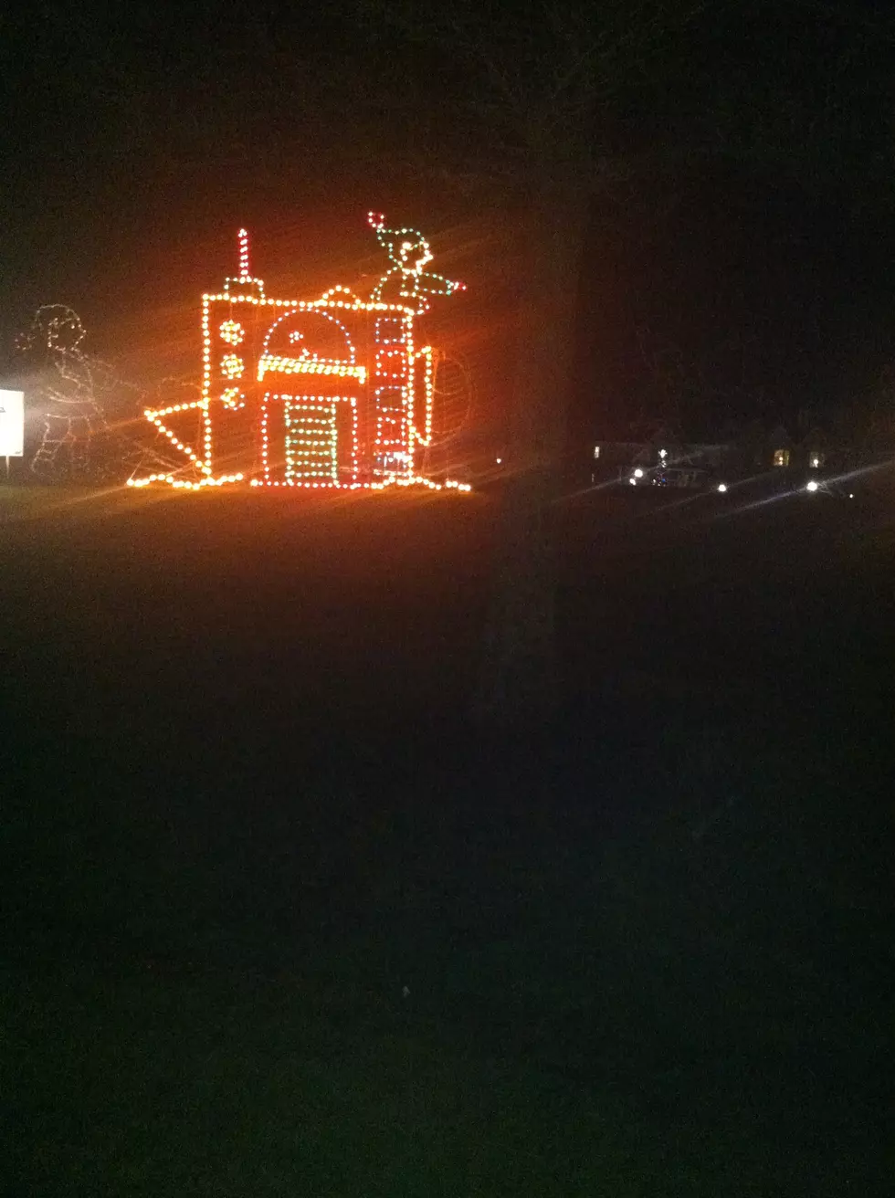 RCIL’s “Wonderland Of Lights 2013″-Three Reasons Why You Should Go See It
