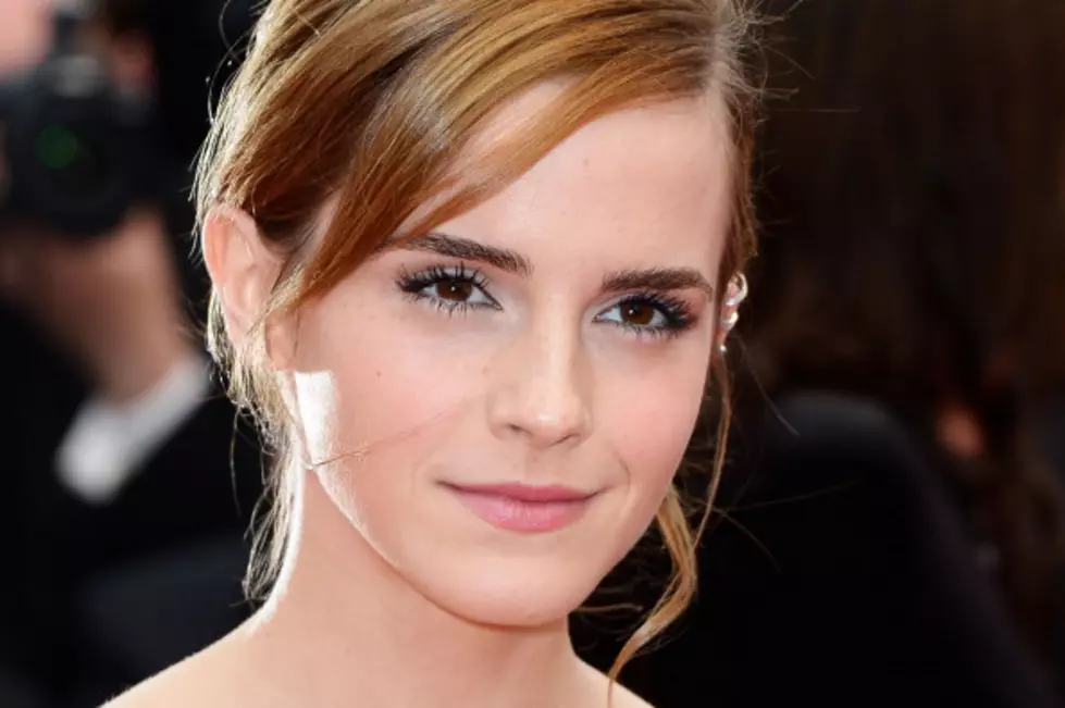Actress Emma Watson’s Dress Rocked The 2014 Golden Globes Red Carpet