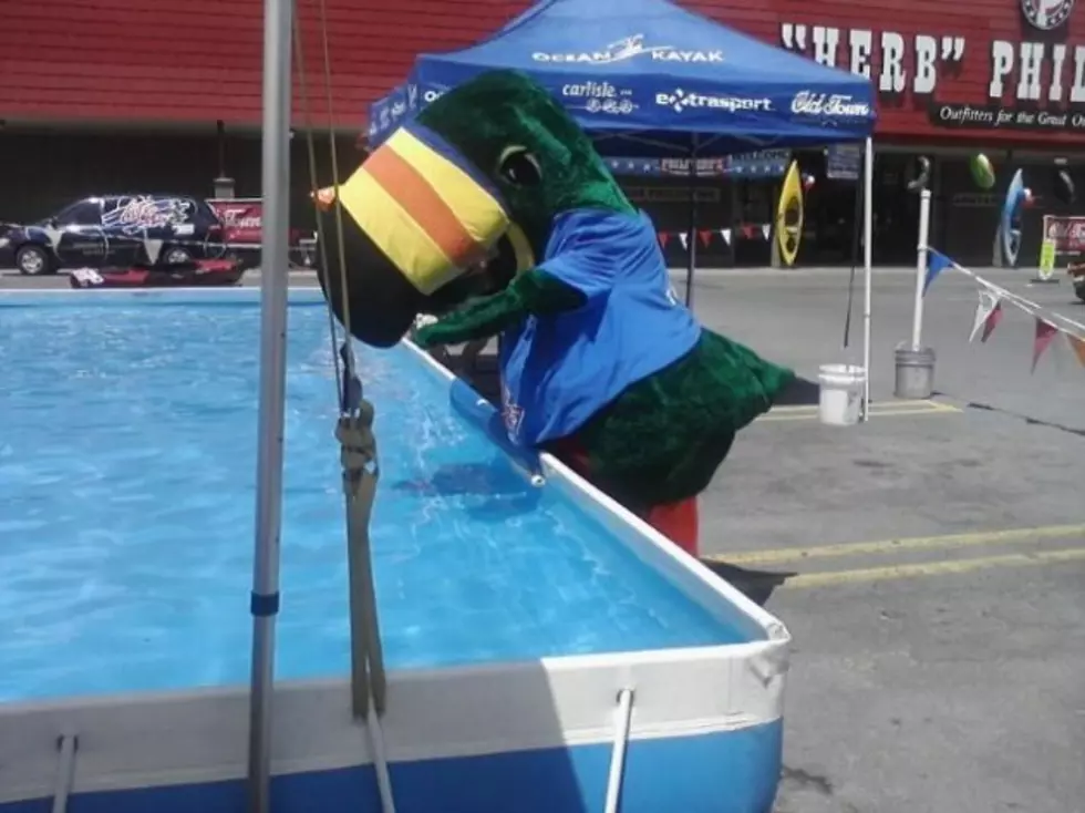 Our Mascot Tookey Definitely Isn&#8217;t Ready For Bathing Suit Season Or Kayaking! [VIDEO]