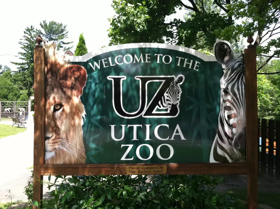 Utica Zoo Announces Online Kids Academy