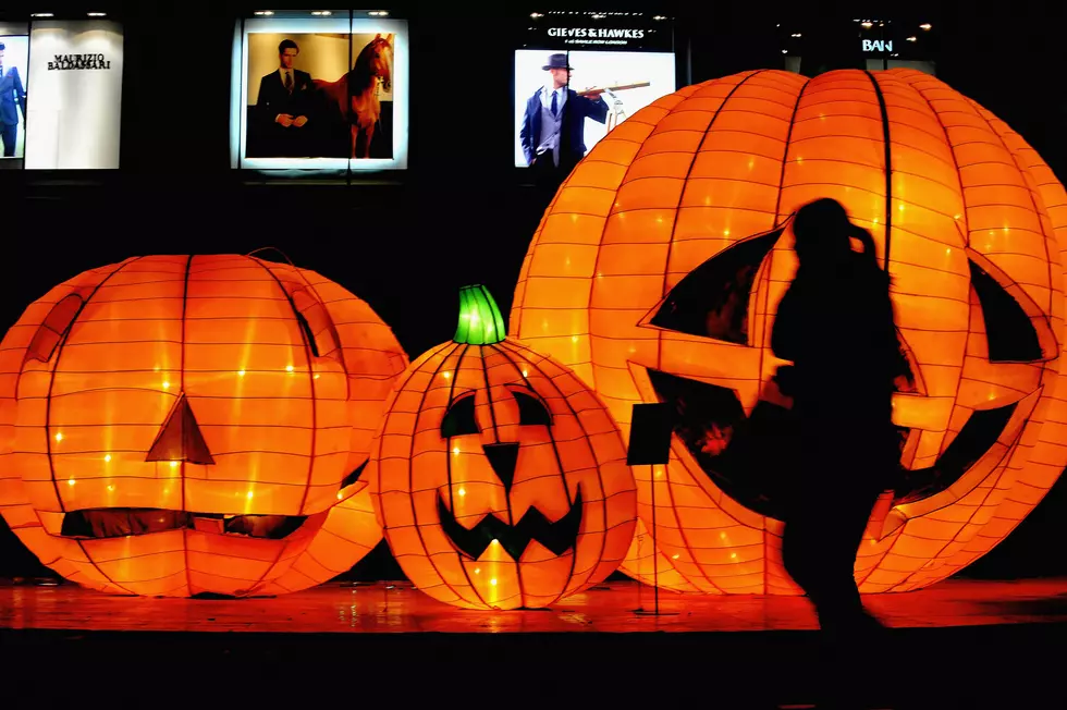 This Halloween House Light Show With Get You Into The Spirit [VIDEO]