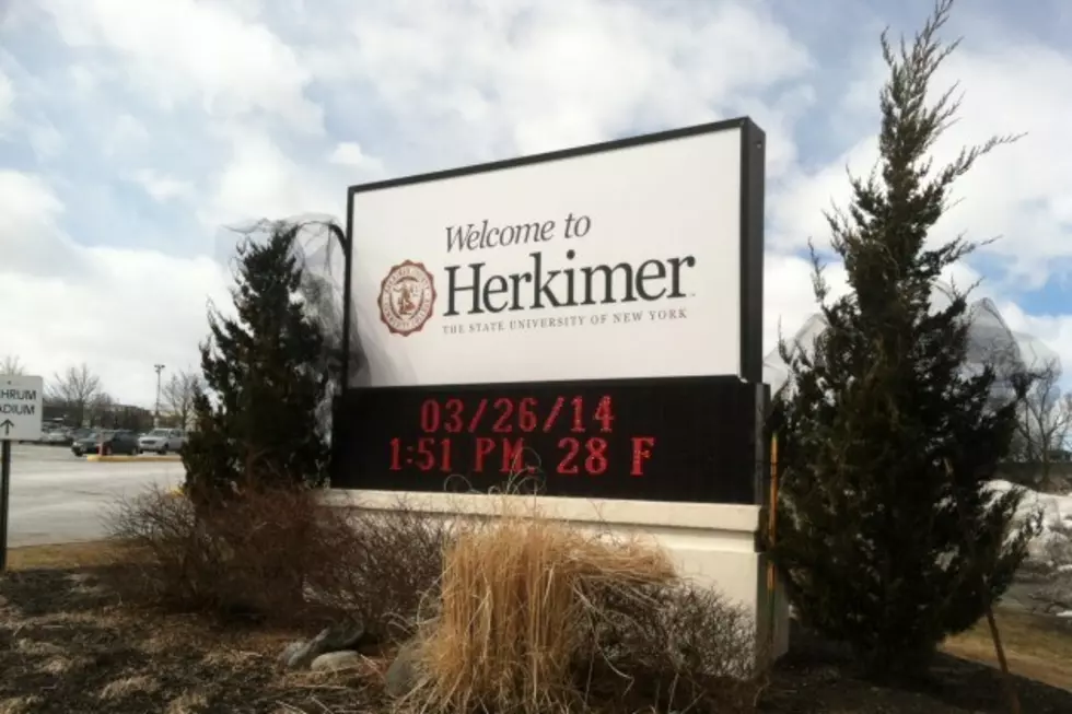 Bear at Herkimer College