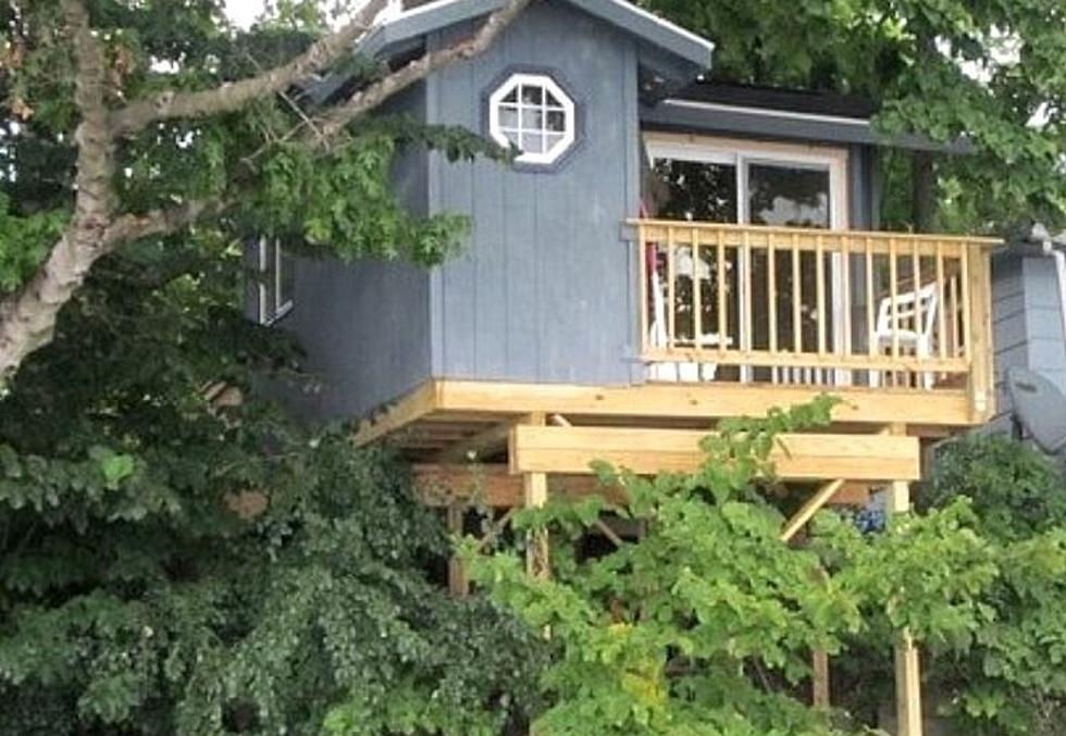 Spend the Night in a Tree House in Upstate New York