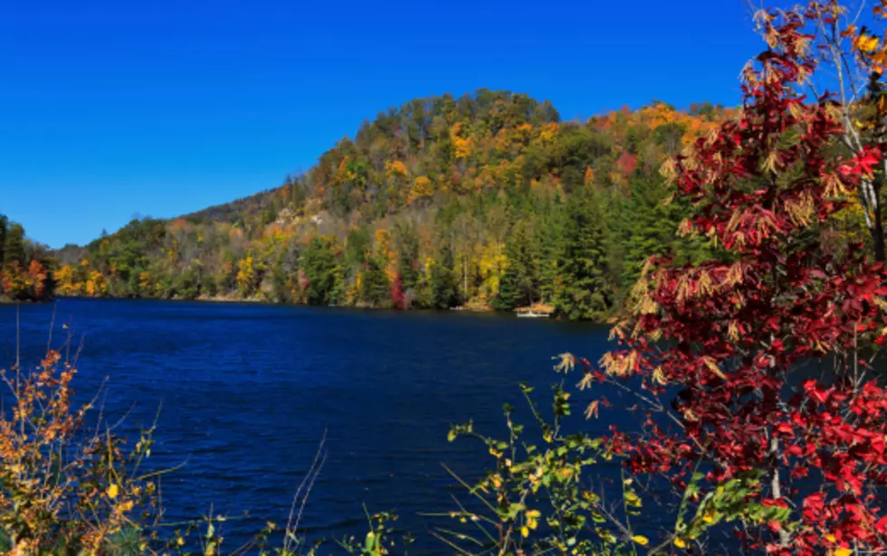 2016 New York State Fall Foliage Report