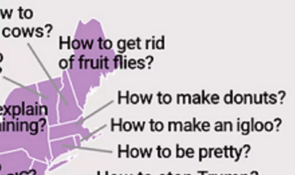 You Won’t Believe What New Yorkers Are Searching ‘How-To’ Do