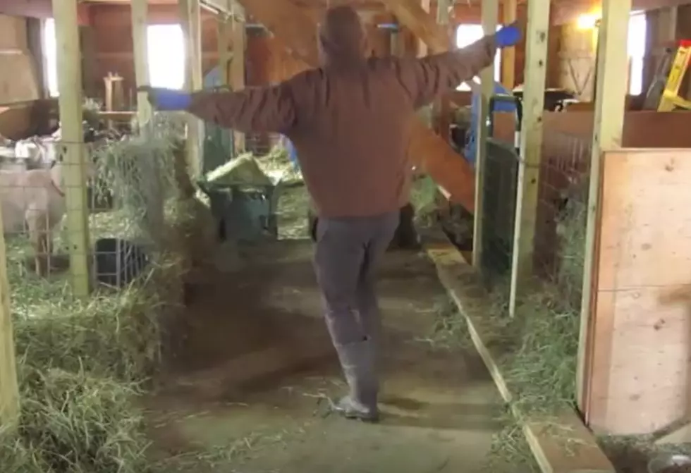 Video By Sharon Springs Farmer Dances To 7 Million Views