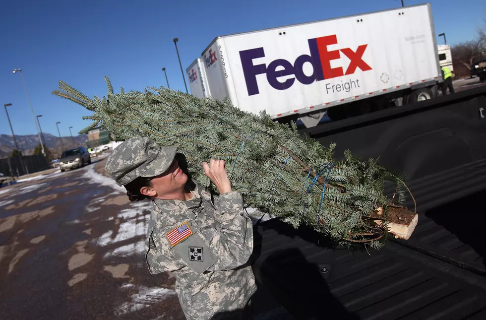 Help A CNY Farm Send Christmas Trees to the Troops