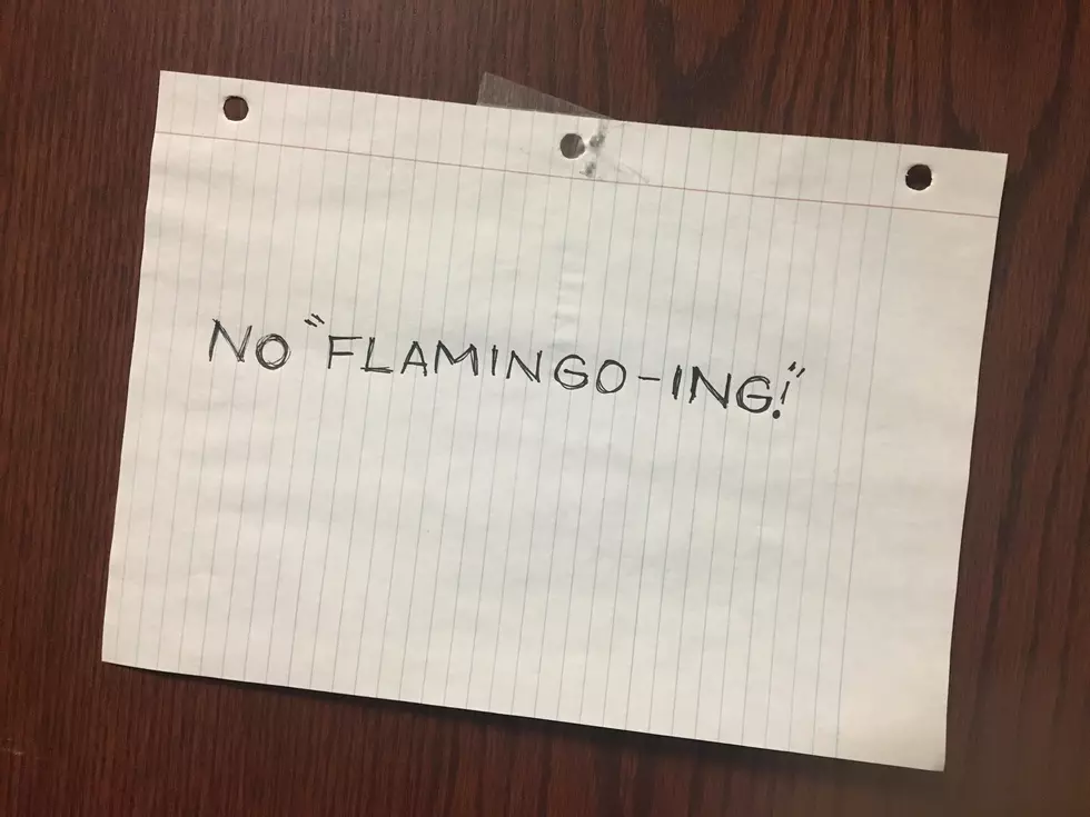 What Does Flamingo-ing Mean at This Upstate NY College?