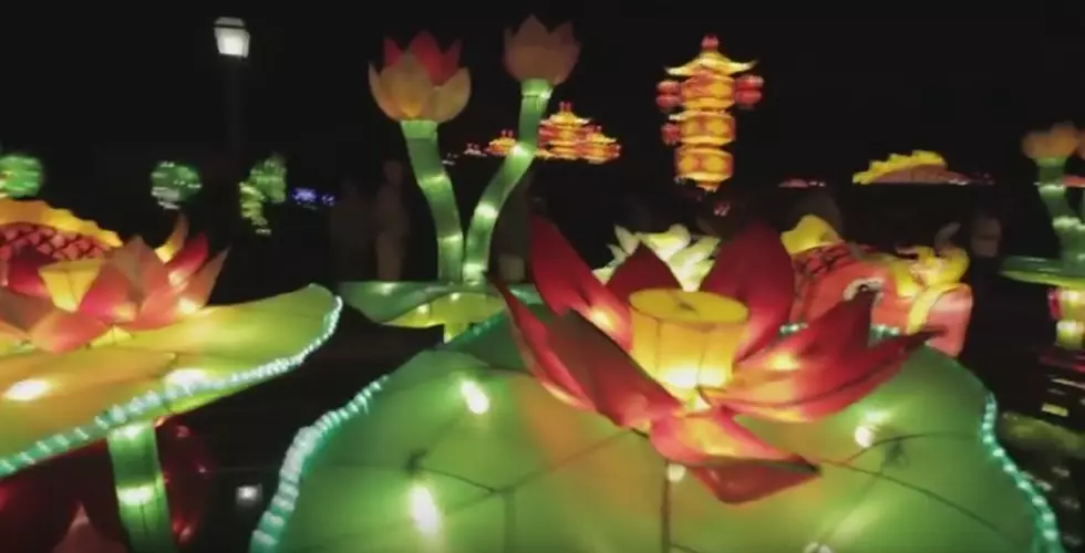 A Sight to See: The New York State Chinese Lantern Festival